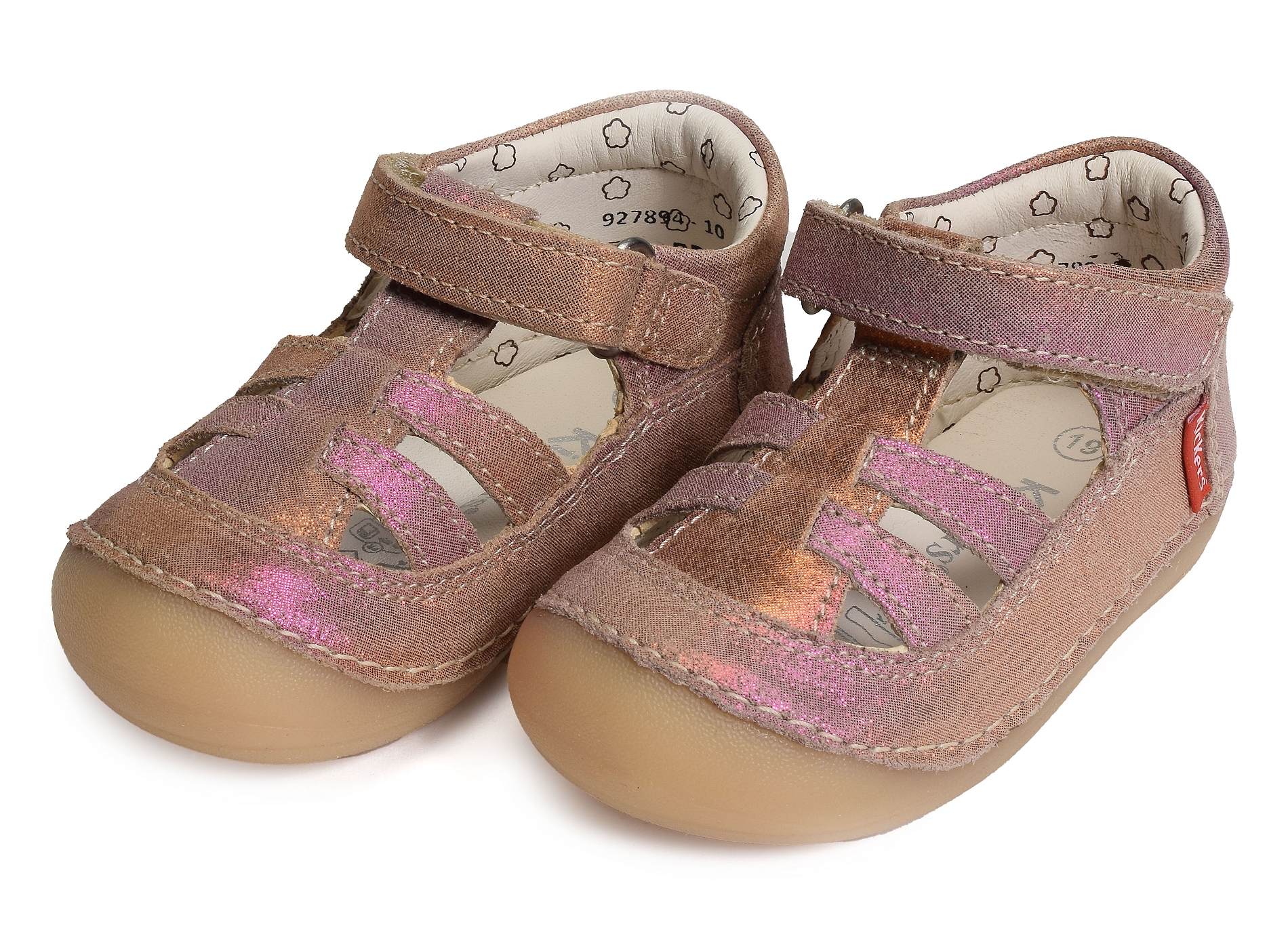 Sushy girl rose multicolore