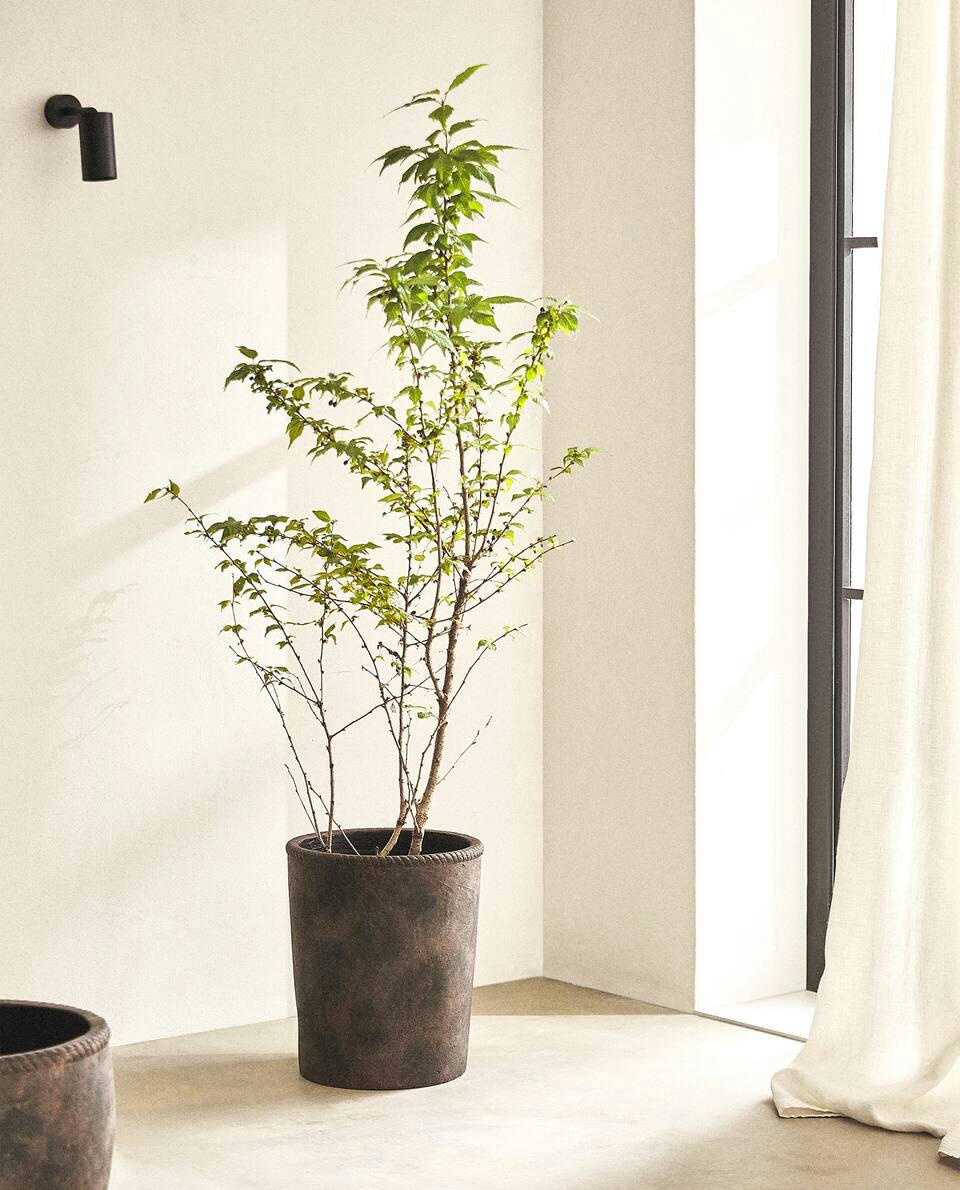 VASO DE FLORES ALTO COM ACABAMENTO RÚSTICO