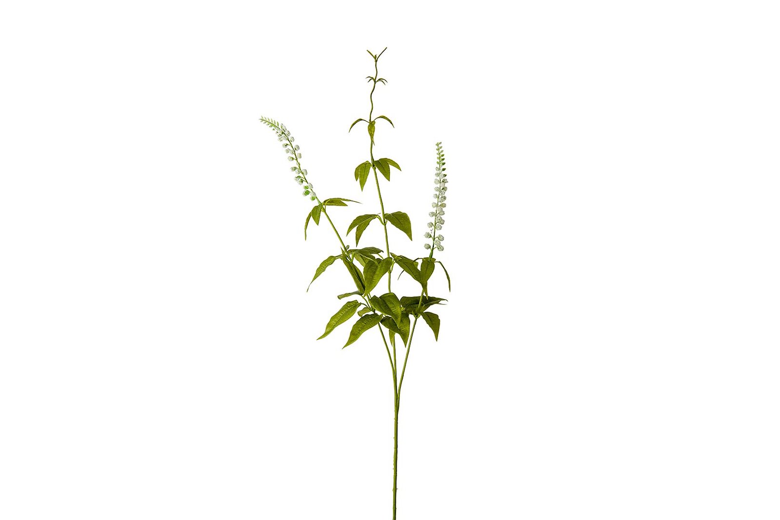 Lavendel stilkblomst Grønn/hvit H70 cm