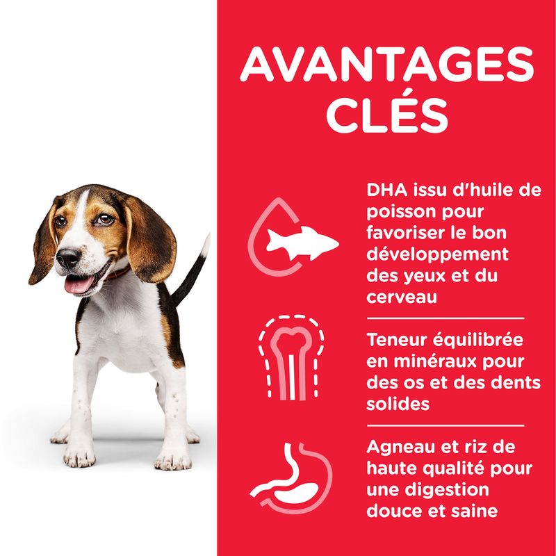 Hill's Science Plan Puppy <1 Medium agneau, riz à prix discount sur bitiba.fr