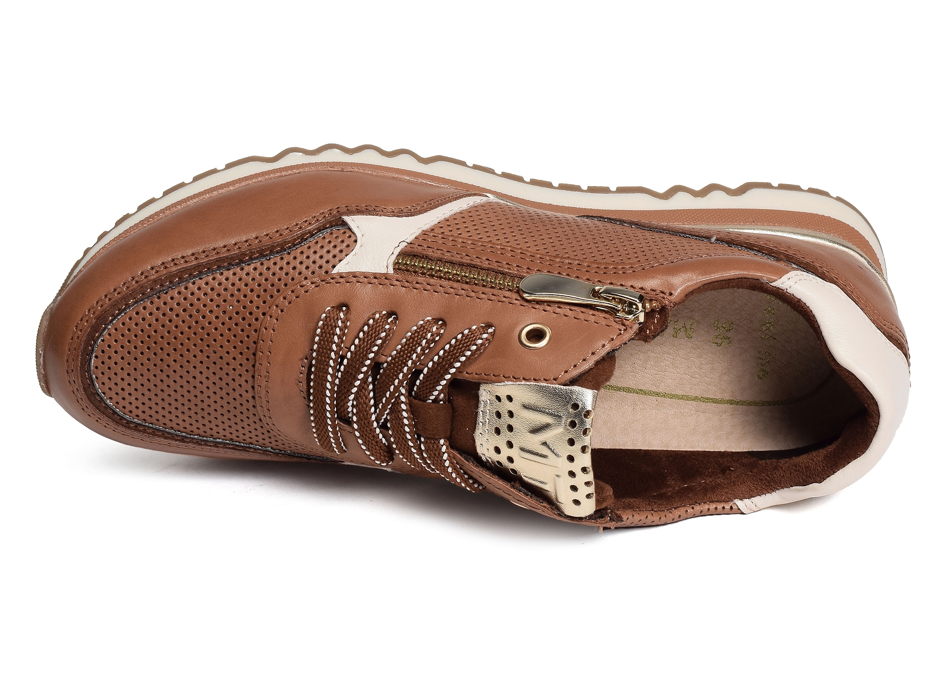 23731 camel