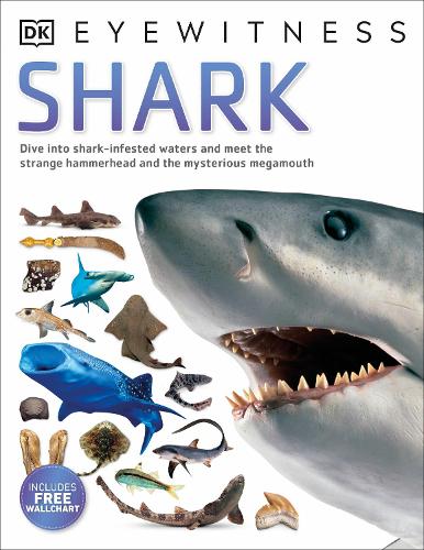 Shark - DK Eyewitness (Paperback)