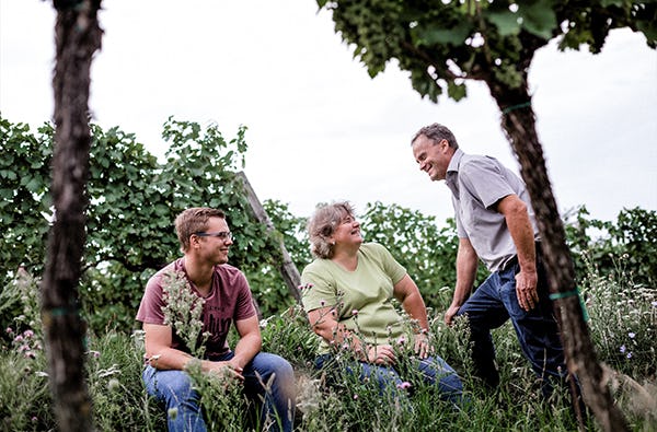 Weinbergwanderung Hohenruppersdorf