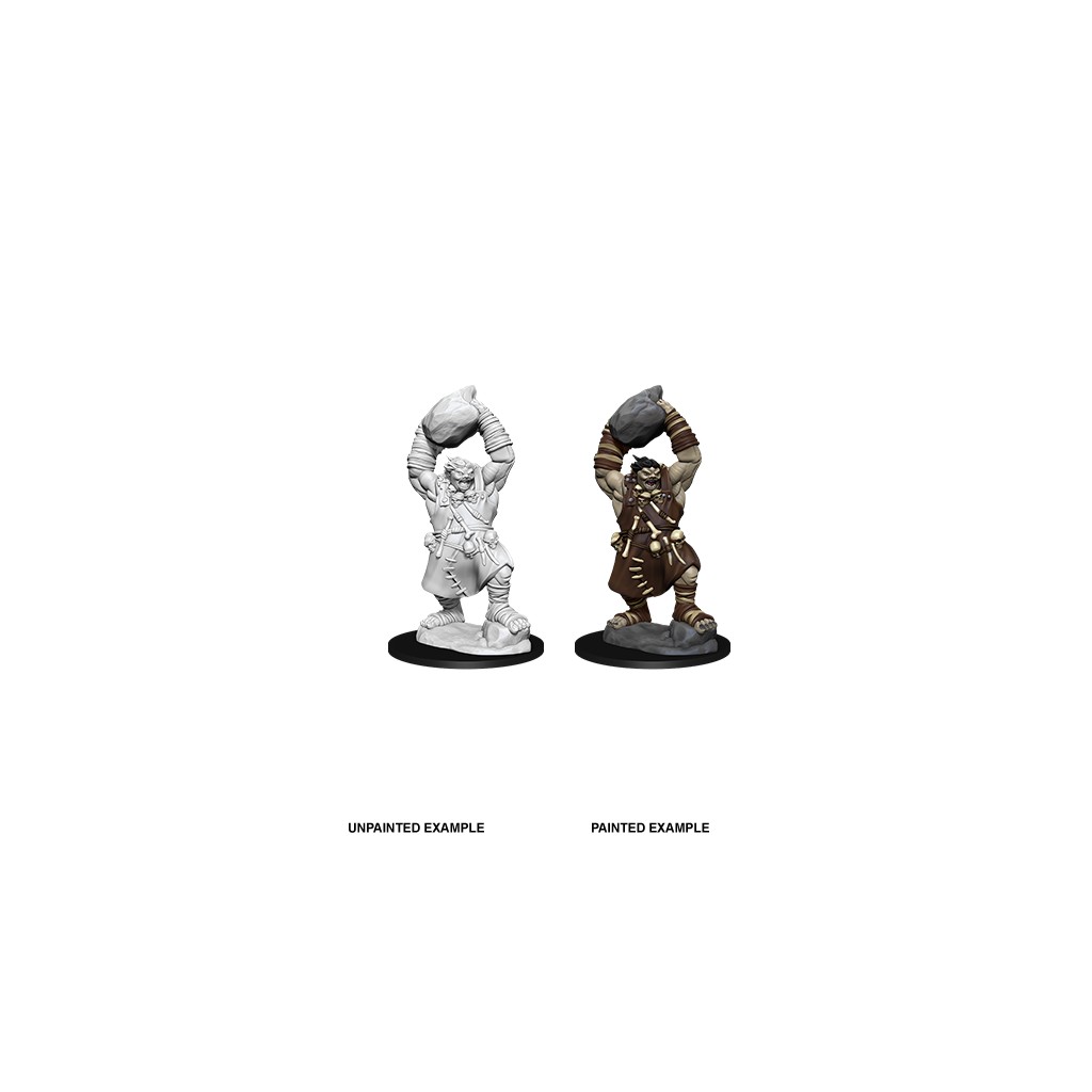 Pathfinder Deepcuts Unpainted Miniatures: Ogre