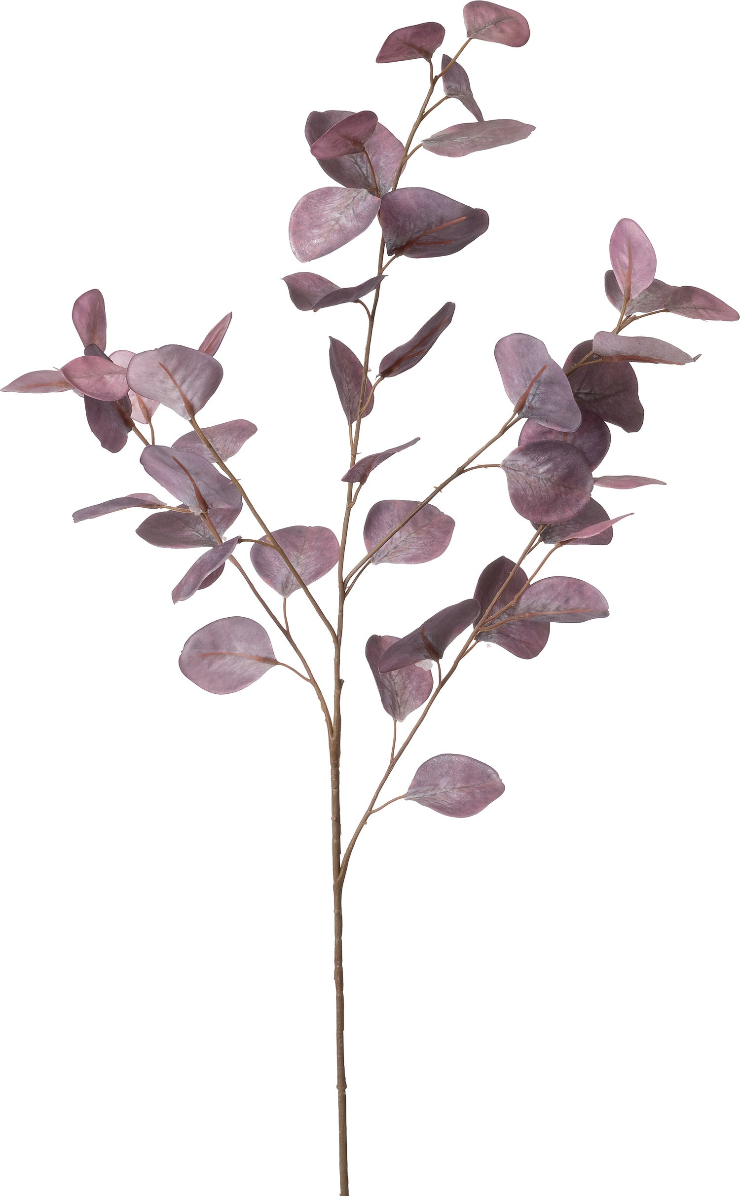 Intratuin kunsttak Cotinus paars 94 cm
