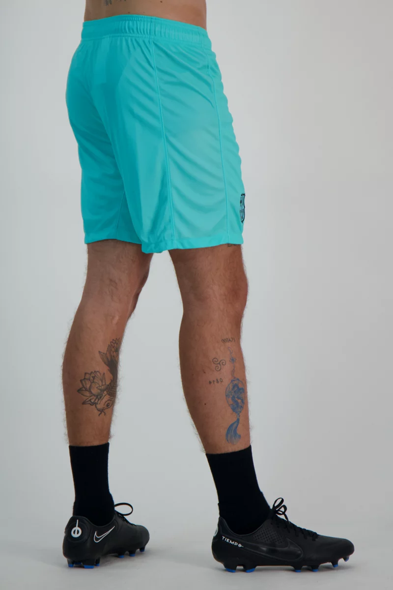 Nike FC Barcelona Stadium 3rd Replica Herren Short 2324