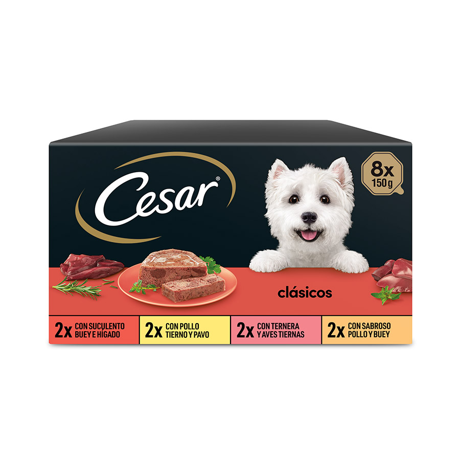 Cesar Selección Clásicos Ração para Cachorro em Pate Tub - Multipack