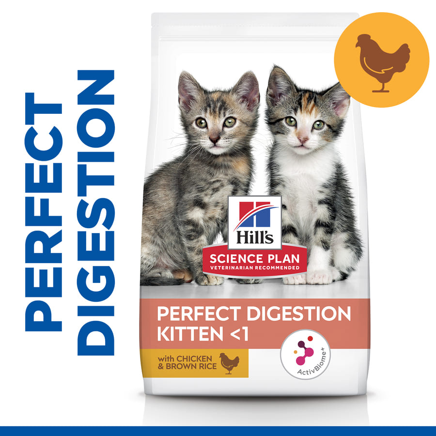 Hill's Science Plan Perfect Digestion Kitten Pienso para gatos