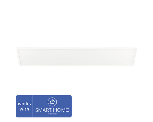 Philips Hue Paneel White Ambiance 39W 3550 lm 30x120 cm wit + dimmer - Compatibel met SMART HOME van Hornbach
