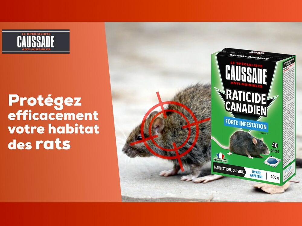 Carpt400 raticide canadien forte infestation appât prêt à l'emploi nou