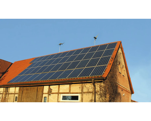 SkyWind NG 230V 600W micro-windturbine
