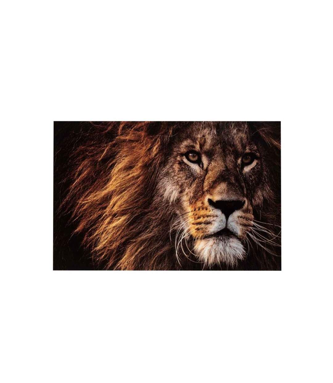 Paris Prix - Cadre Déco lion 100x150cm Marron & Noir