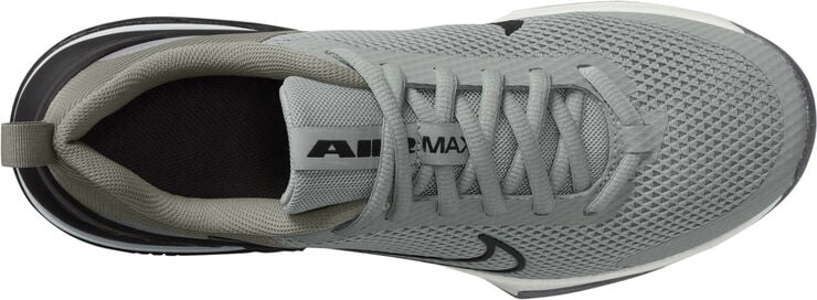 Nike Air Max Alpha Trainer 6 Træningssko Grå