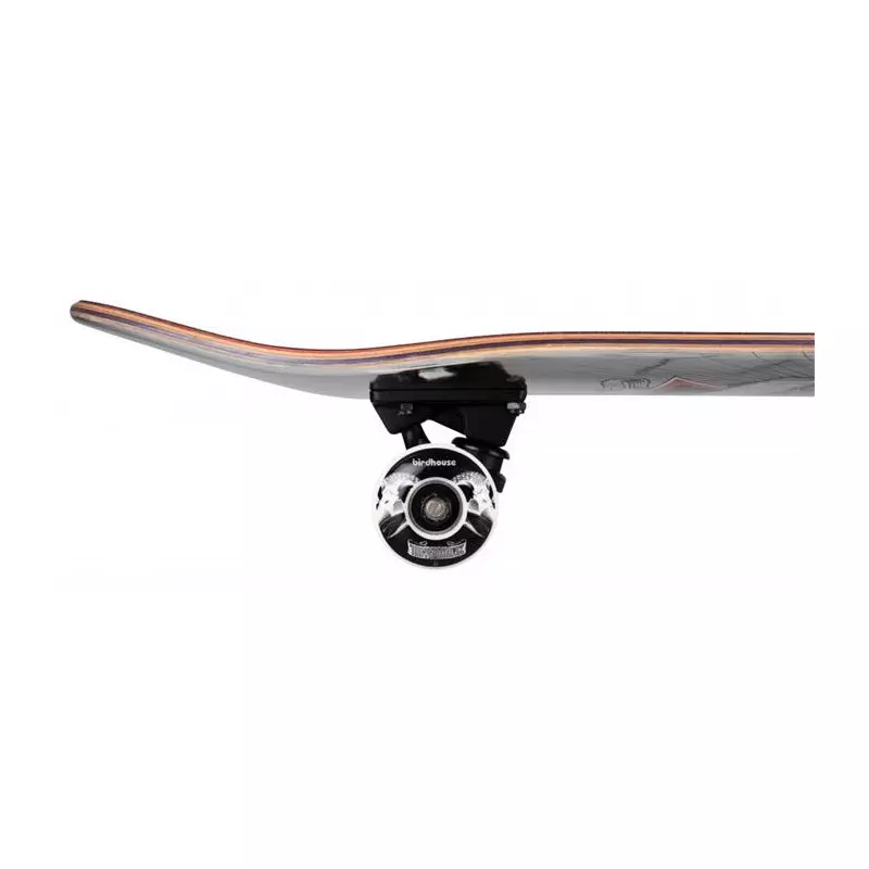 Skate BIRDHOUSE SKATEBOARDS Stage 3 Hawk Skull 2 Chrome Silver Foil 7.75