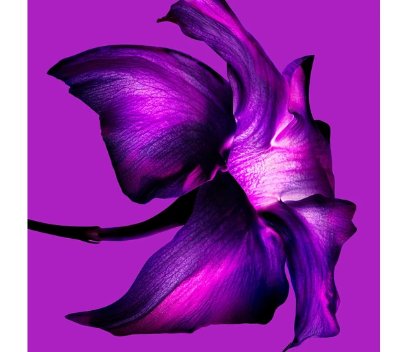MUGLER Alien Extra Intense Eau de Parfum Intense
