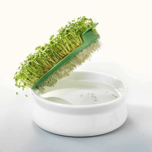 Coupelle de germination (germoir à graines mucilagineuses)