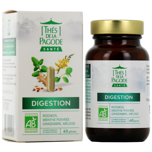 Thés de la Pagode Digestion Bio - Bien-être Gastro-intestinal