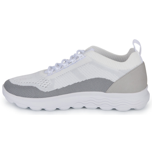 Geox - U SPHERICA - Blanc / Gris / Argenté