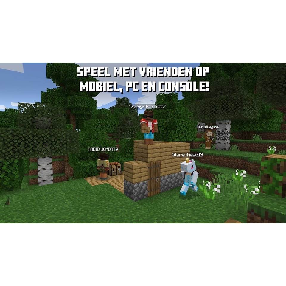 Minecraft Nintendo Switch