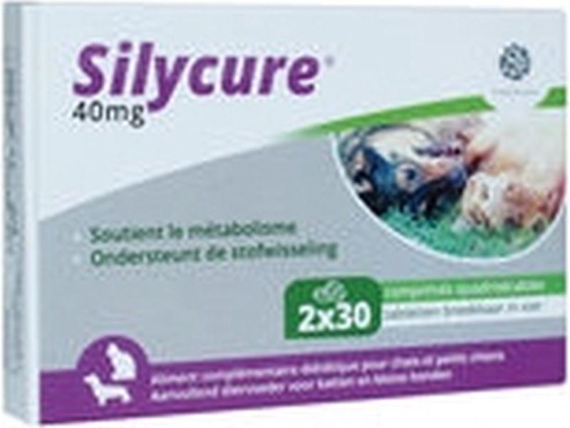 Silycure - Voedingssupplement - Ter Ondersteuning Van Leverfunctie - 40 Mg Silybine