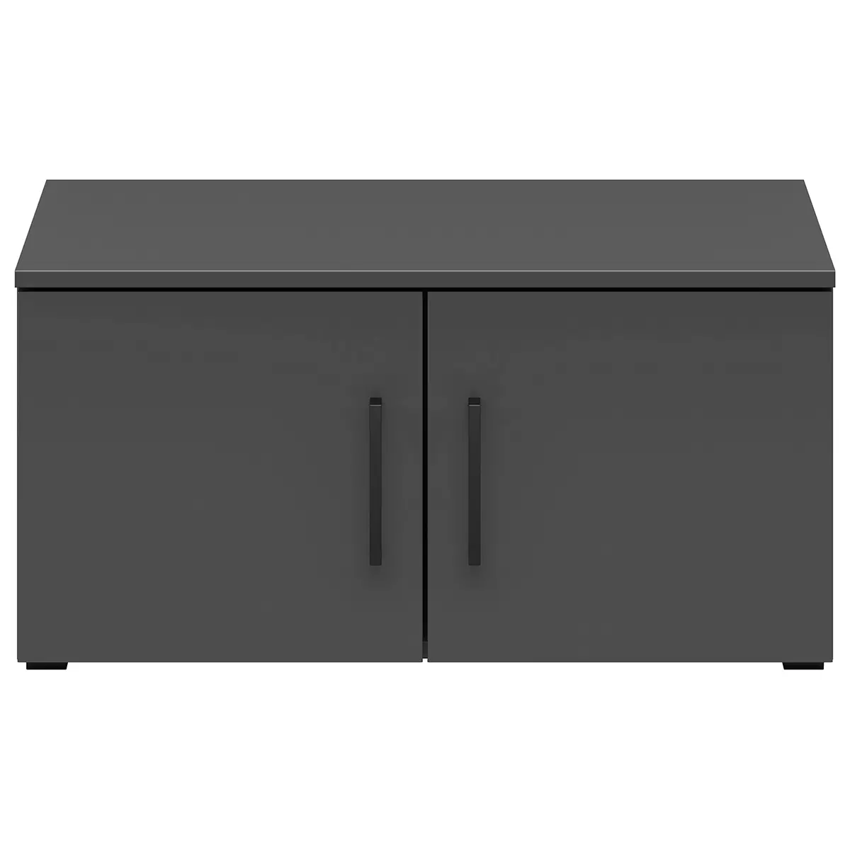 Regal 2T Cabinet Anthrazit