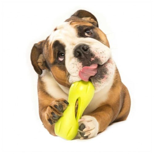 Brinquedo dispensador de petiscos verde para cães