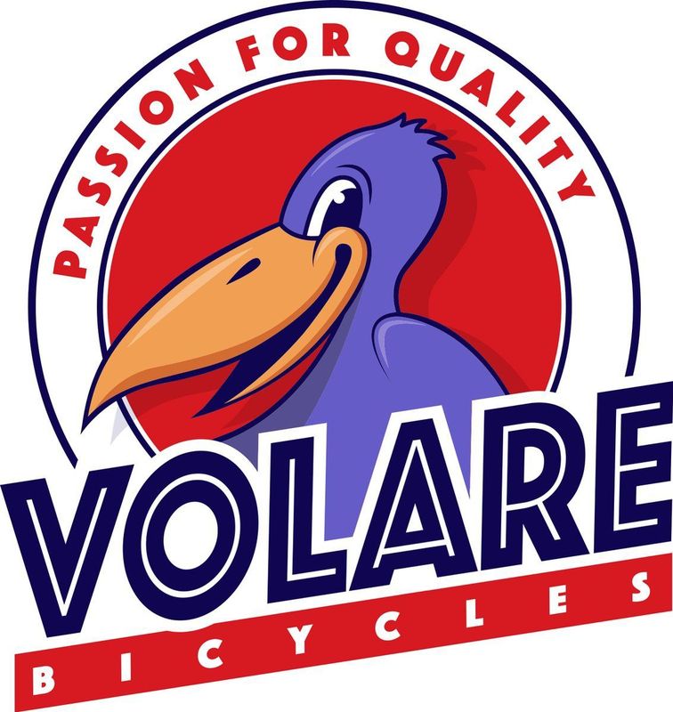 Volare - Excellent - Meisjesfiets - Zwart - Staal - 20 Inch