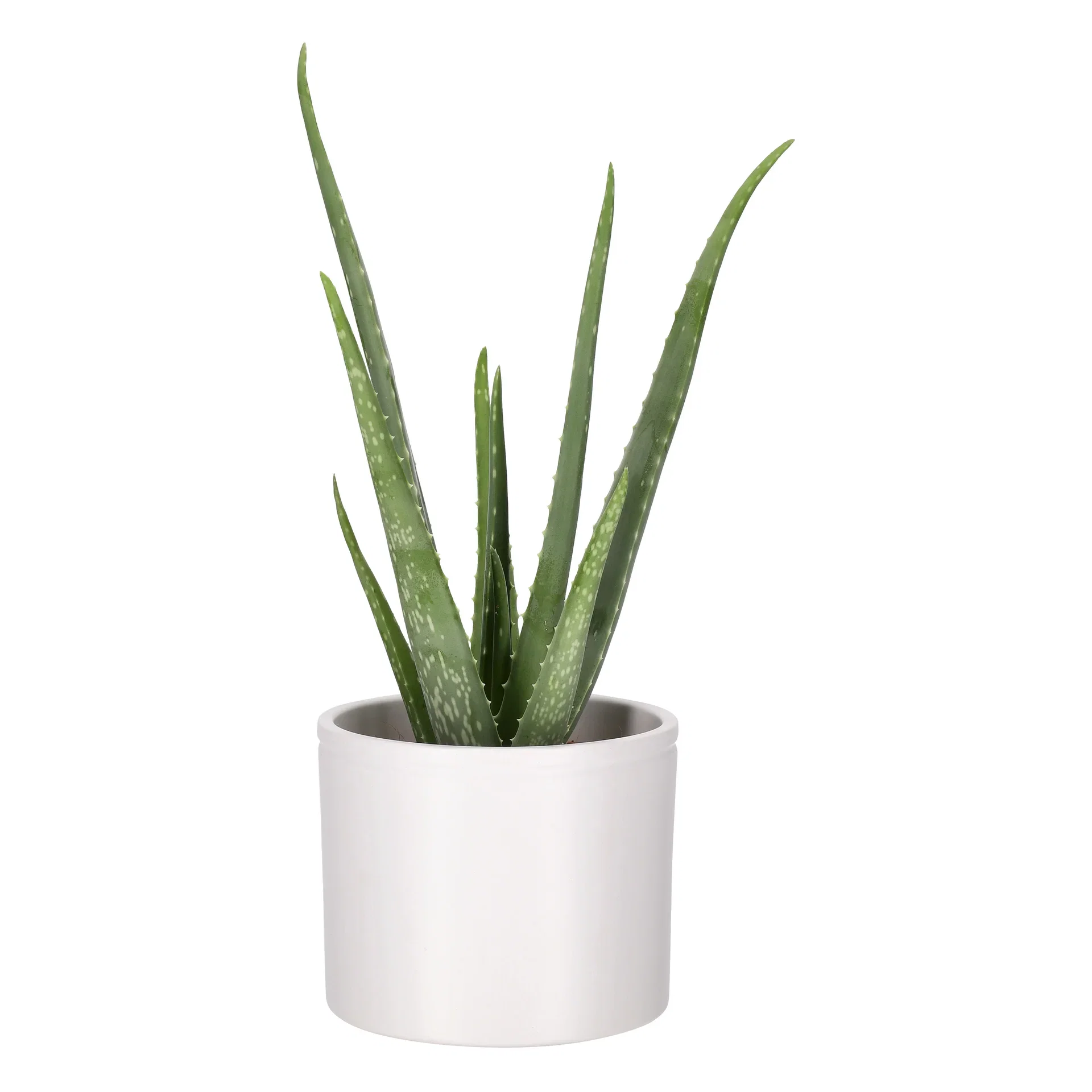 Potte Ada Ø17 cm