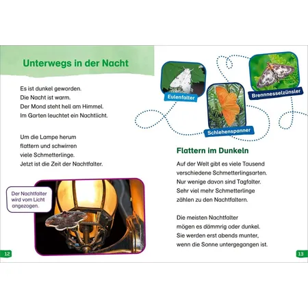 Tessloff WAS IST WAS Erstes Lesen easy! Band 15. Wie leben die Schmetterlinge?