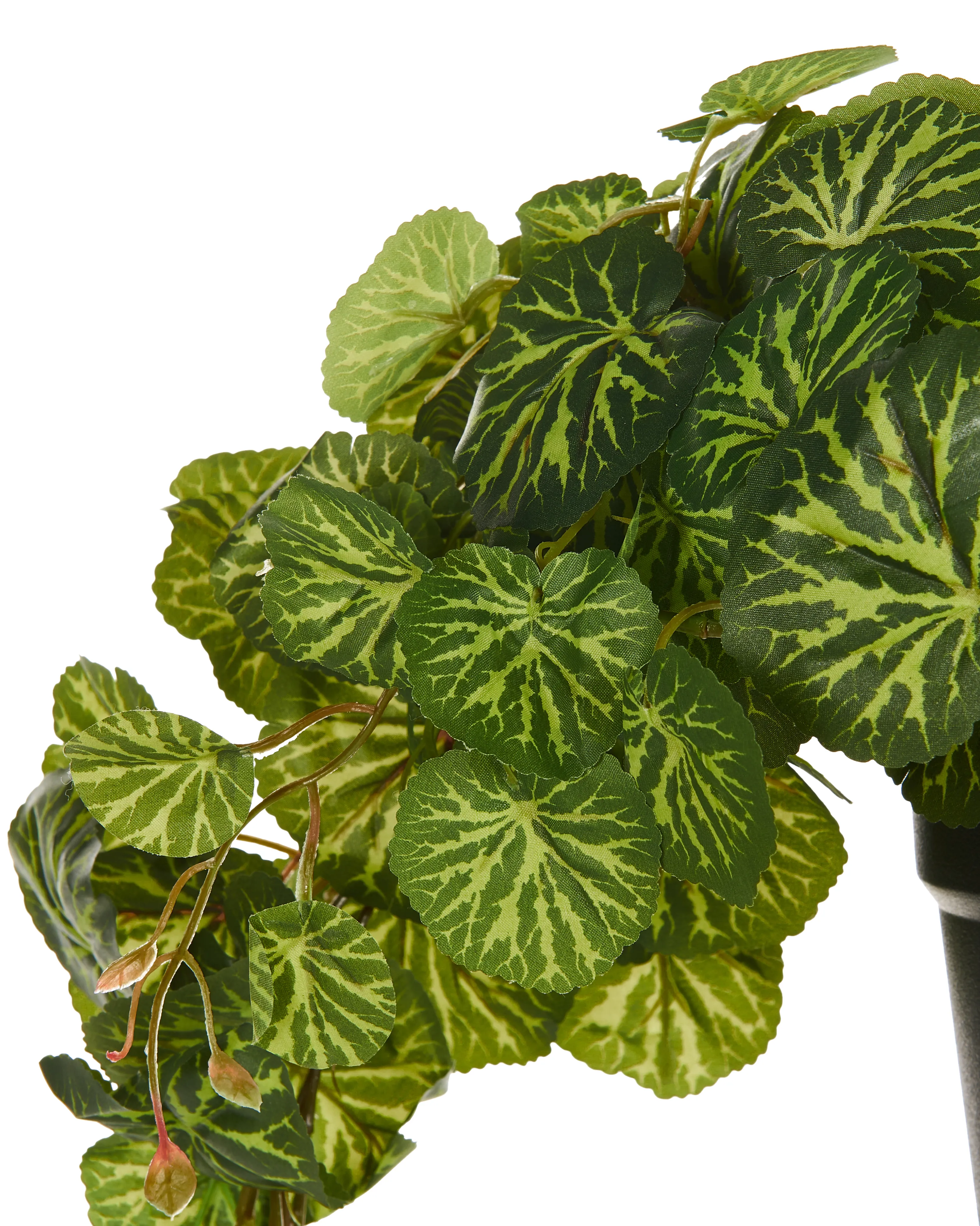 Kunst hangplant in pot STRAWBERRY BEGONIA 37 cm Groen