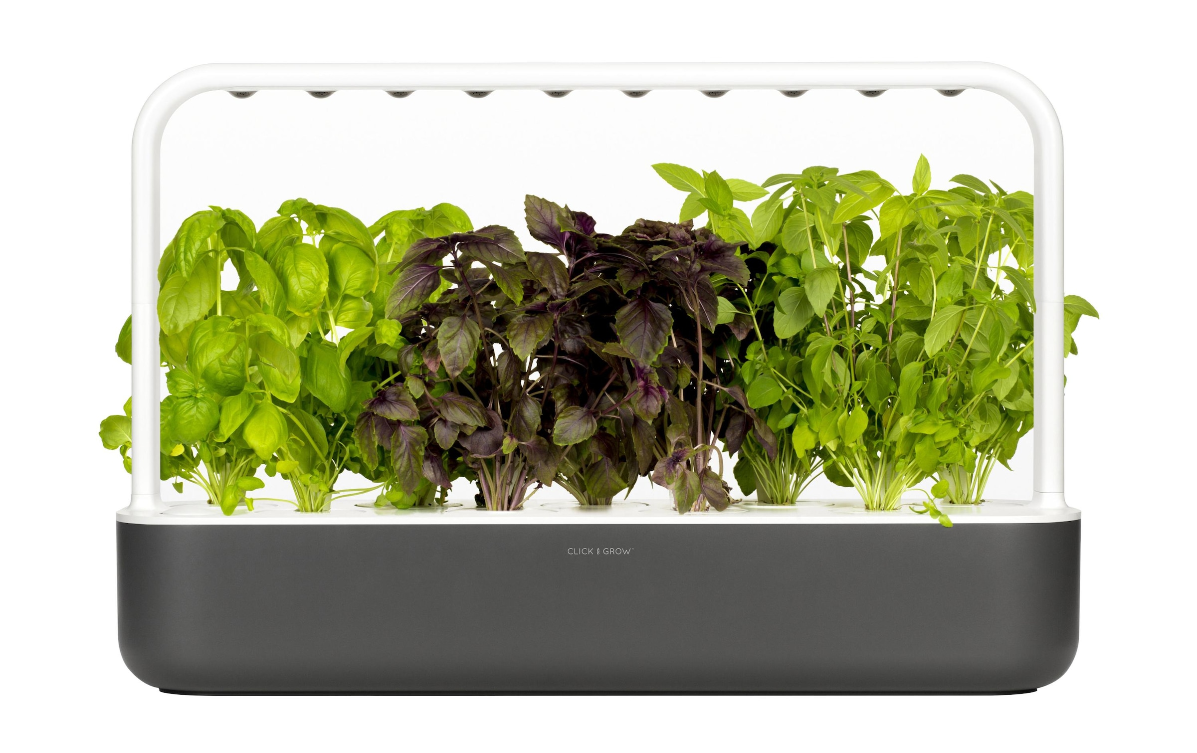 Click and Grow Kräutertopf »Smart Garden 9 Dunkelgrau«