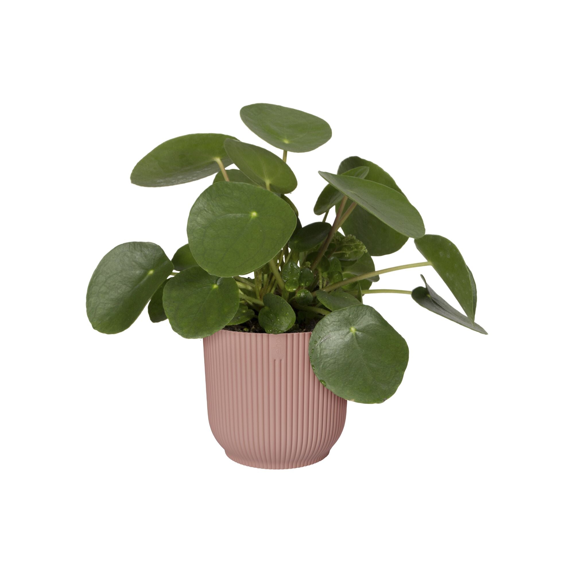 elho Vibes Fold Bloempot Ã 30 cm