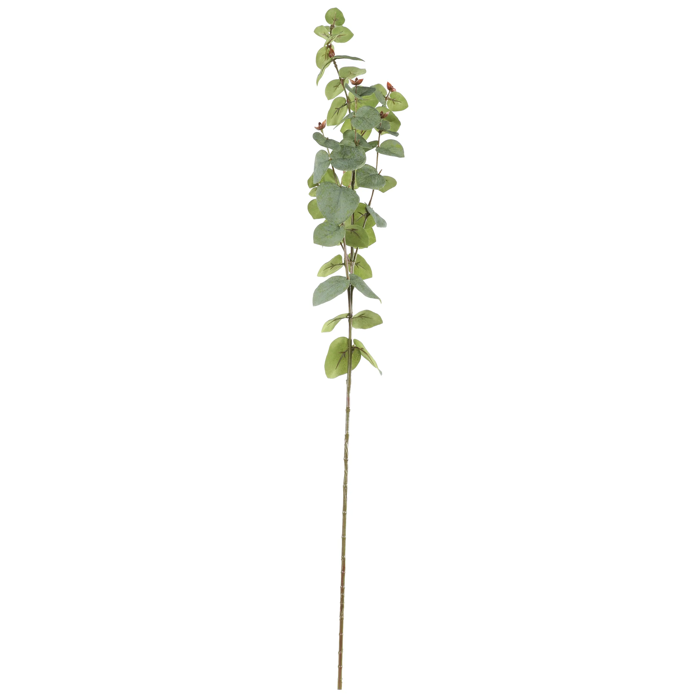 Eukalyptus Dekozweig ca.80-90cm