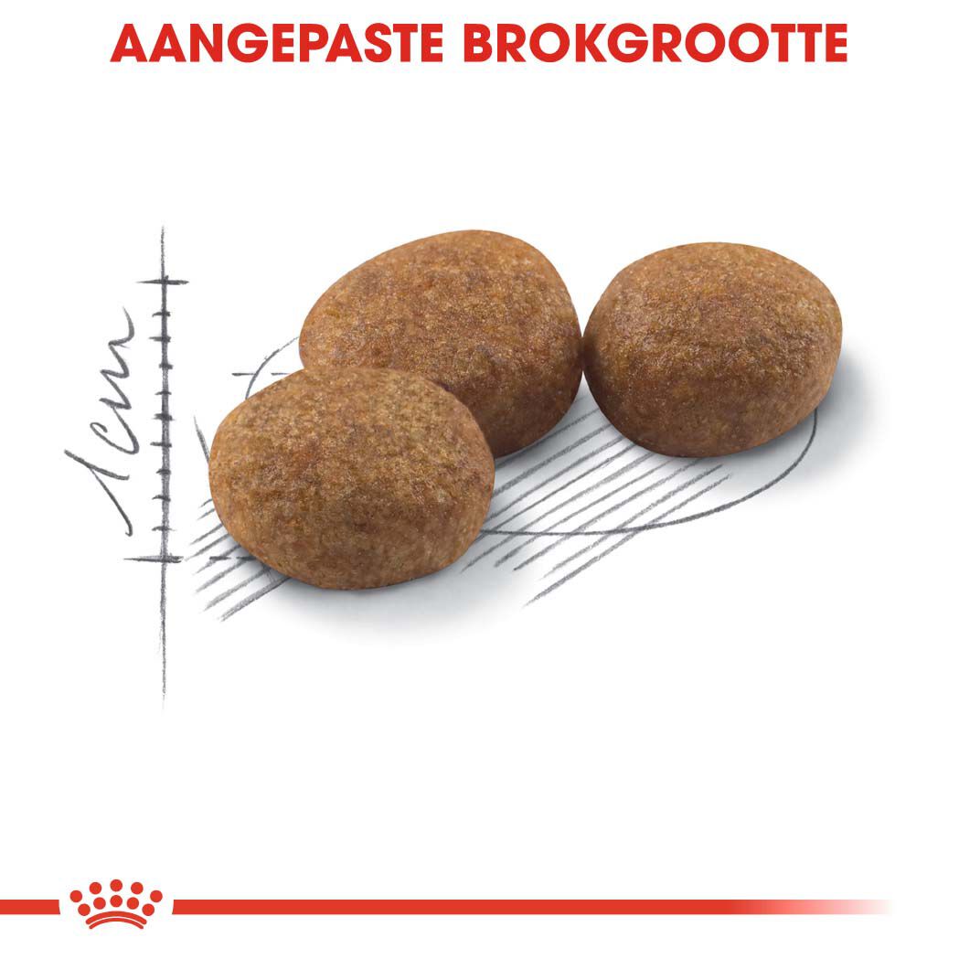 Royal Canin Sterilised 37 - Kattenvoer - 4 Kilogram - Gevogelte