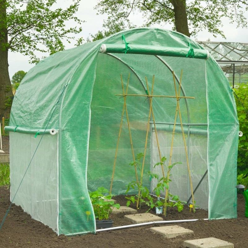 Nature - Tunnelkas - Transparant-Groen - Metaal met Epoxycoating