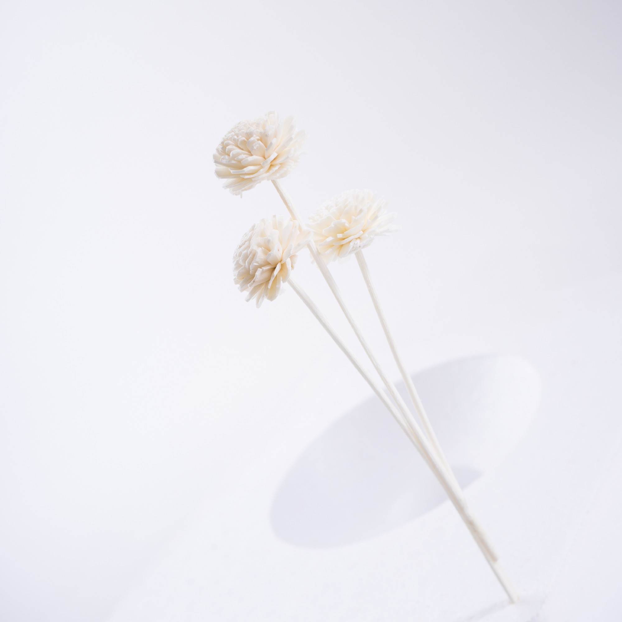 Kunstblume 'Weißer Jasmin', L 20 cm, Ø 3 cm von fischer's lagerhaus