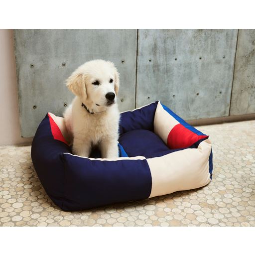 HAY Dogs Medium Hundesenge