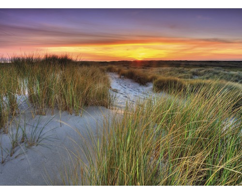 Vliesbehang 18528 Duinen Zonsondergang 7-delige set 350 x 260 cm