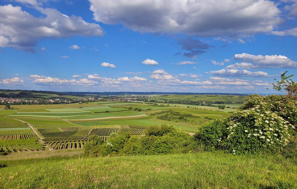 Wanderurlaub in Rheinhessen