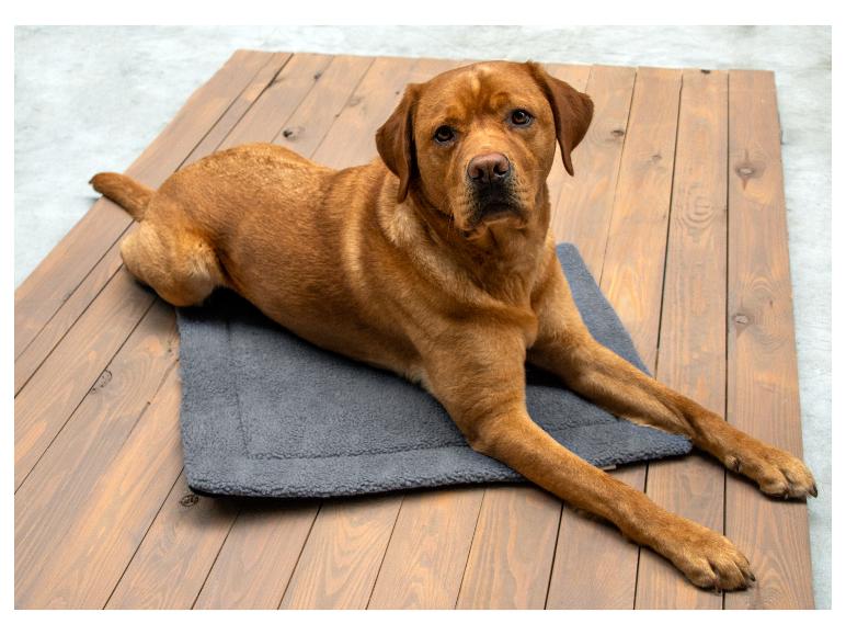Zelfverwarmende honden- of kattenmat