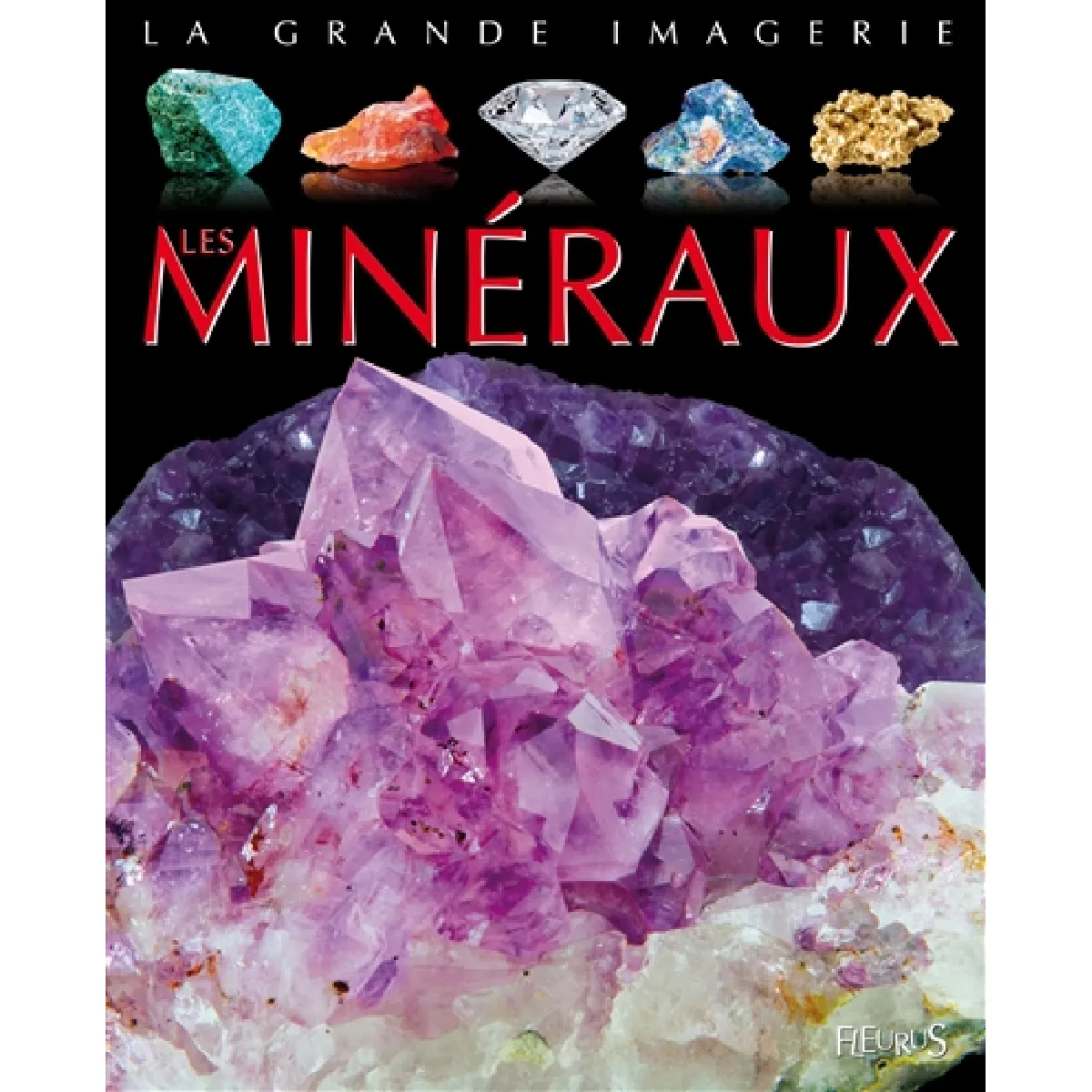 Les minéraux · Occasion
