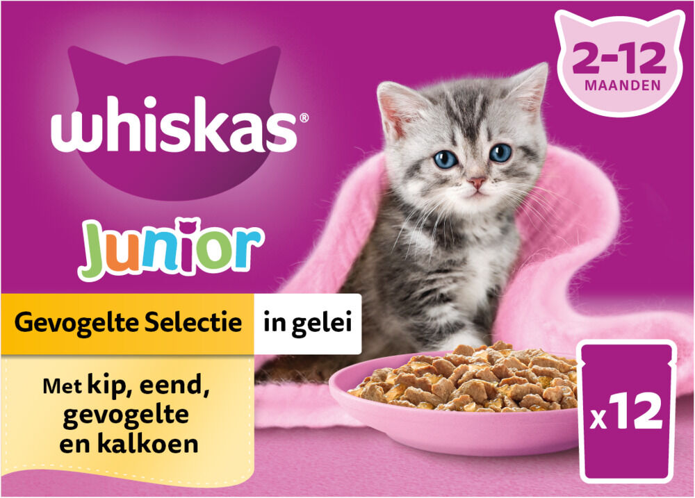 Whiskas  Junior Gevogelte Selectie in gelei - Kattenvoer - 12x85 gram - 1020 Gram - gelei