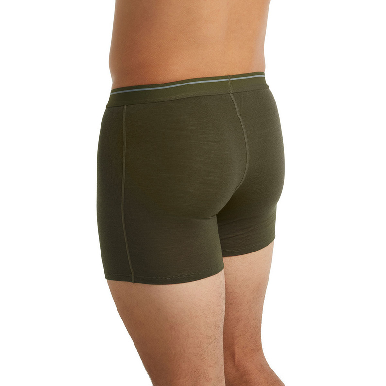 Icebreaker Herren Anatomica Weekdays Boxer