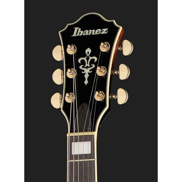 Ibanez AG95QA-DBS