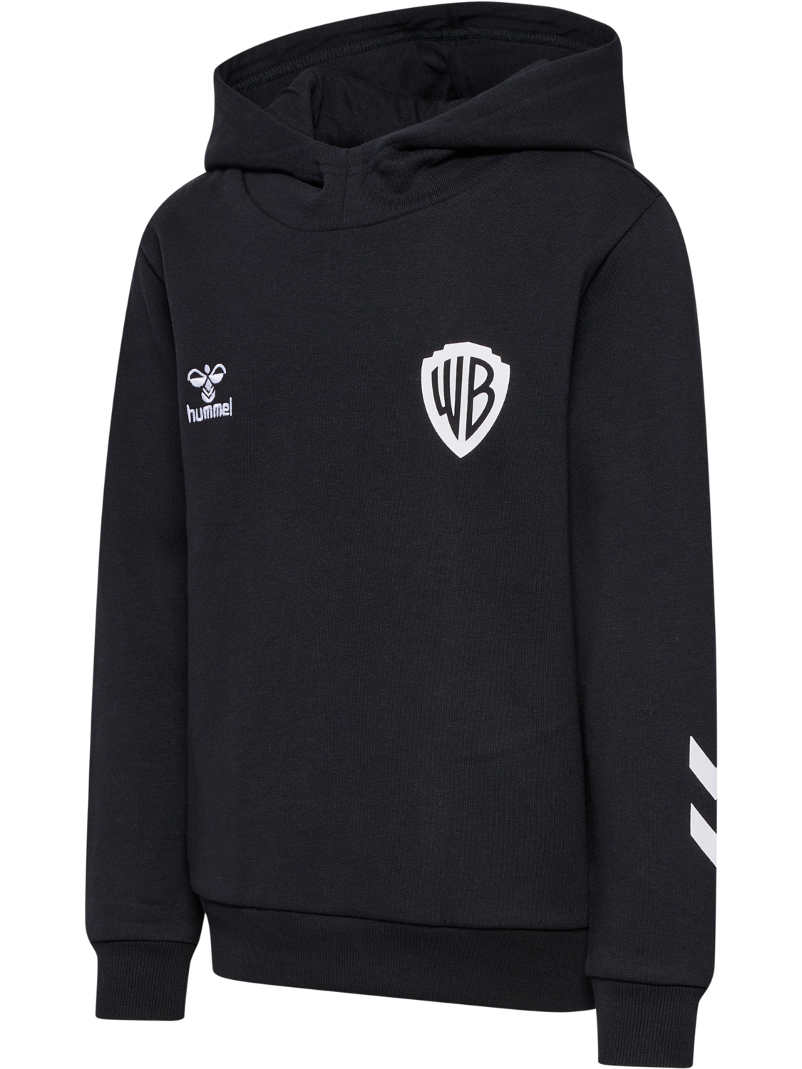hmlCELEBRATING STORY HOODIE