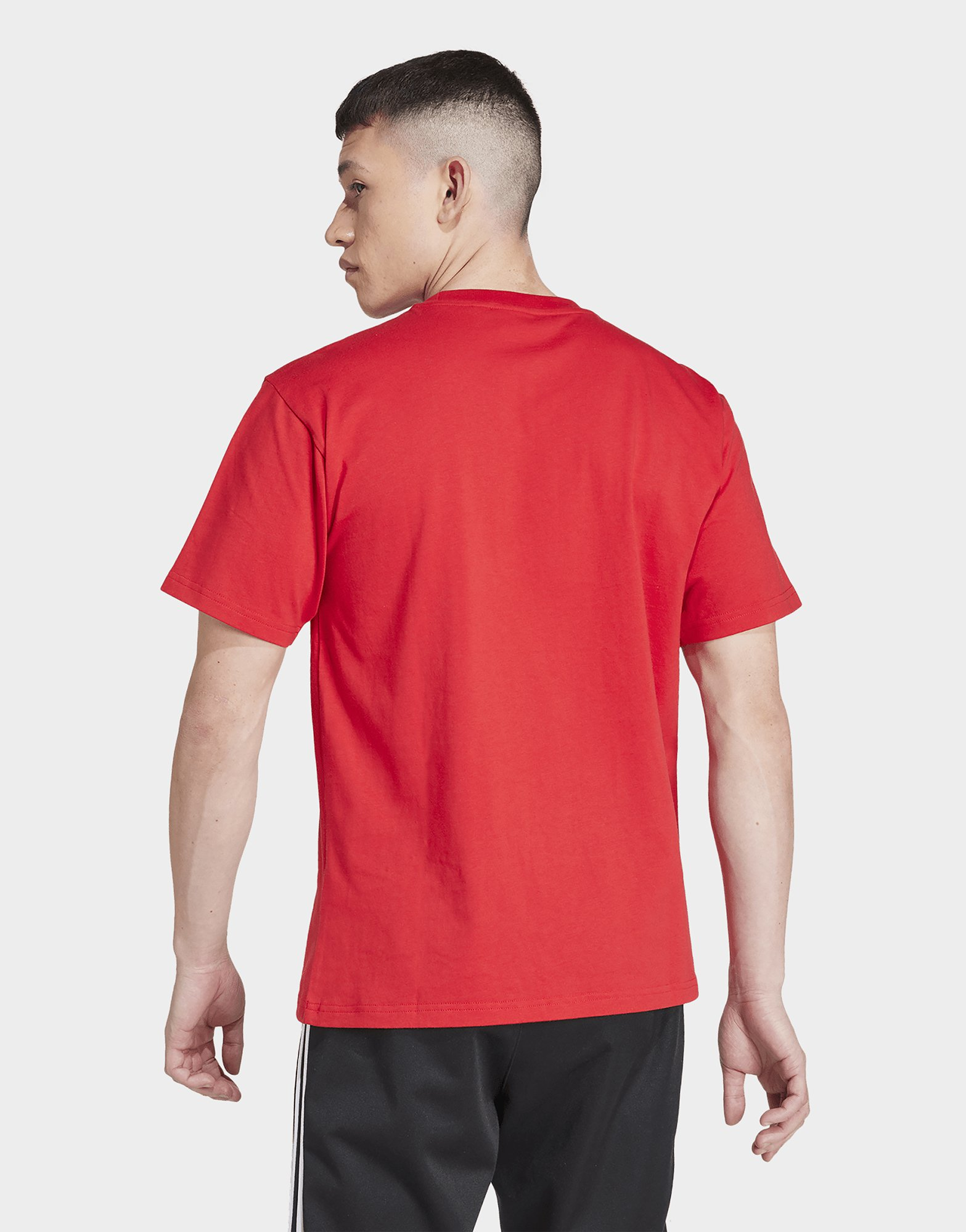 adidas T-shirt Trèfle flambeau