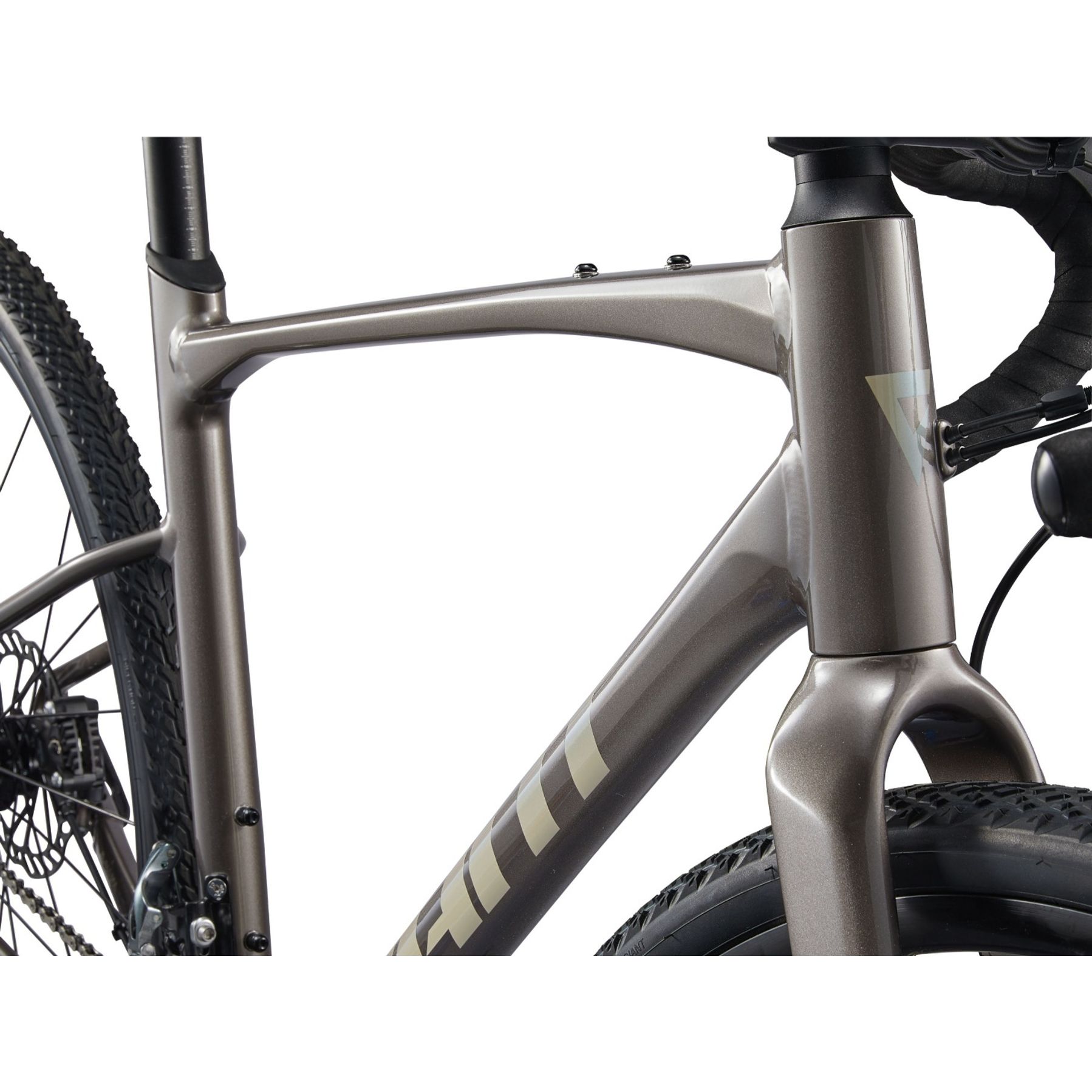Giant Revolt 1 2025