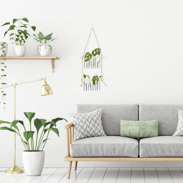 Forplantningsstasjon for hengende planter
