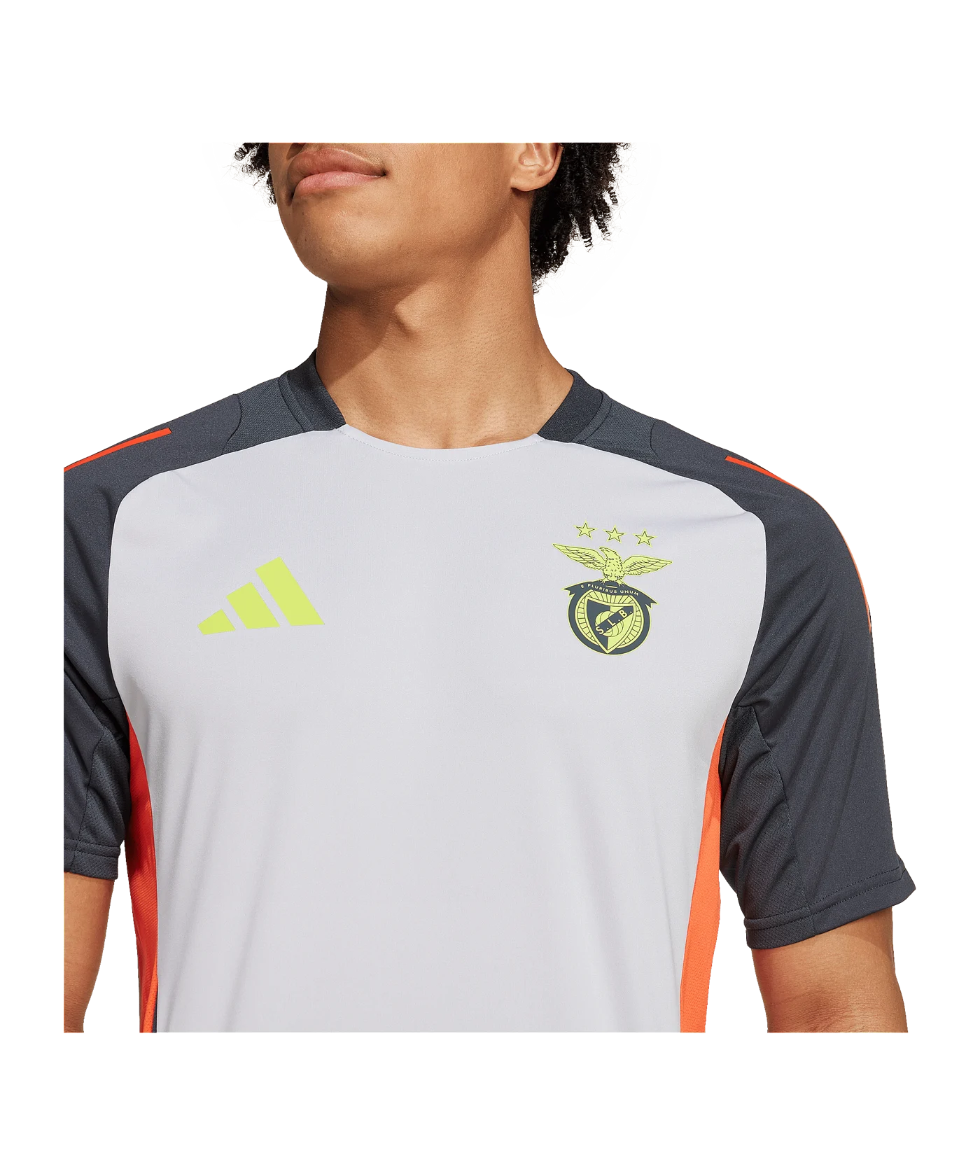 adidas Benfica Lissabon Training T-Shirt Grün