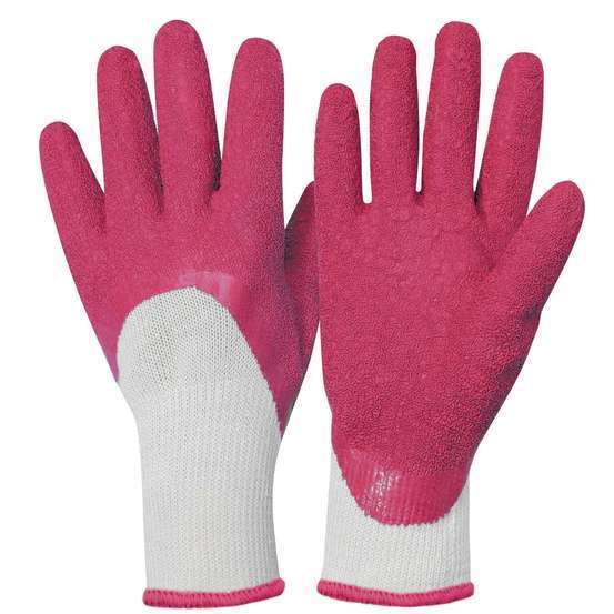 Gant rosier rose fushia T7